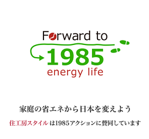 1985 energy life