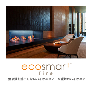 EcoSmart Fire